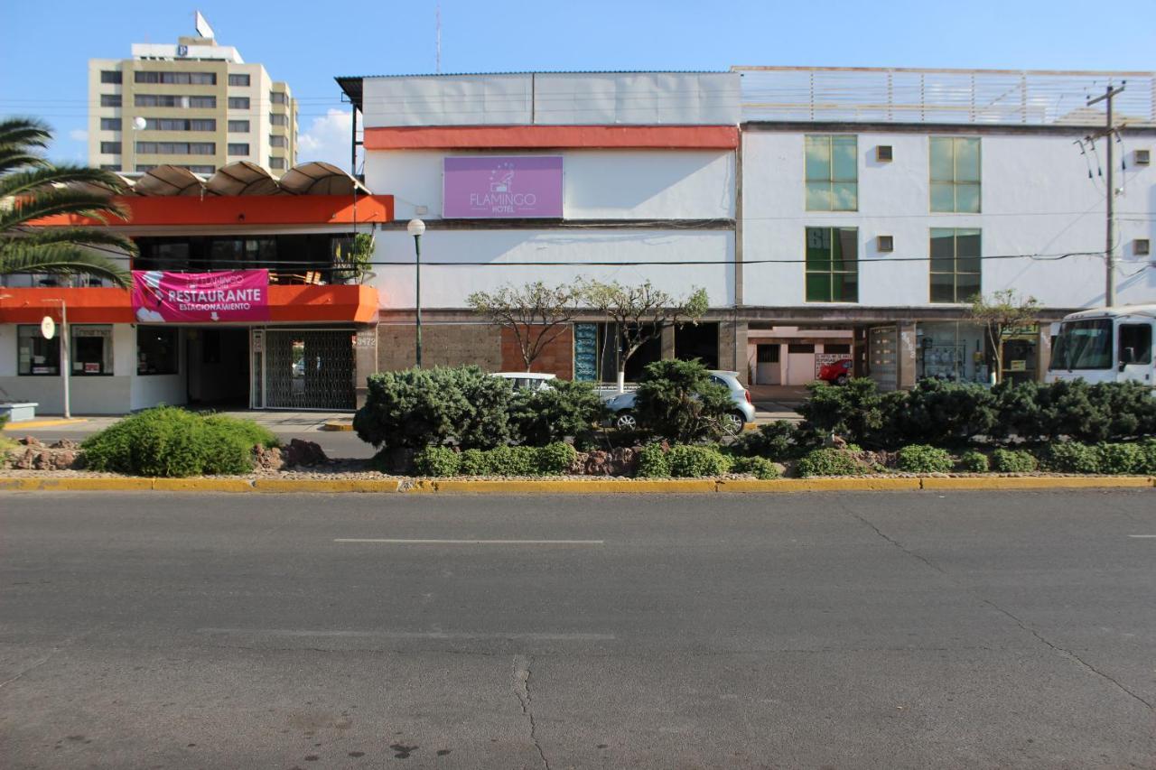 Hotel Flamingo Irapuato Exterior photo